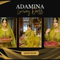 Organza Dupatta